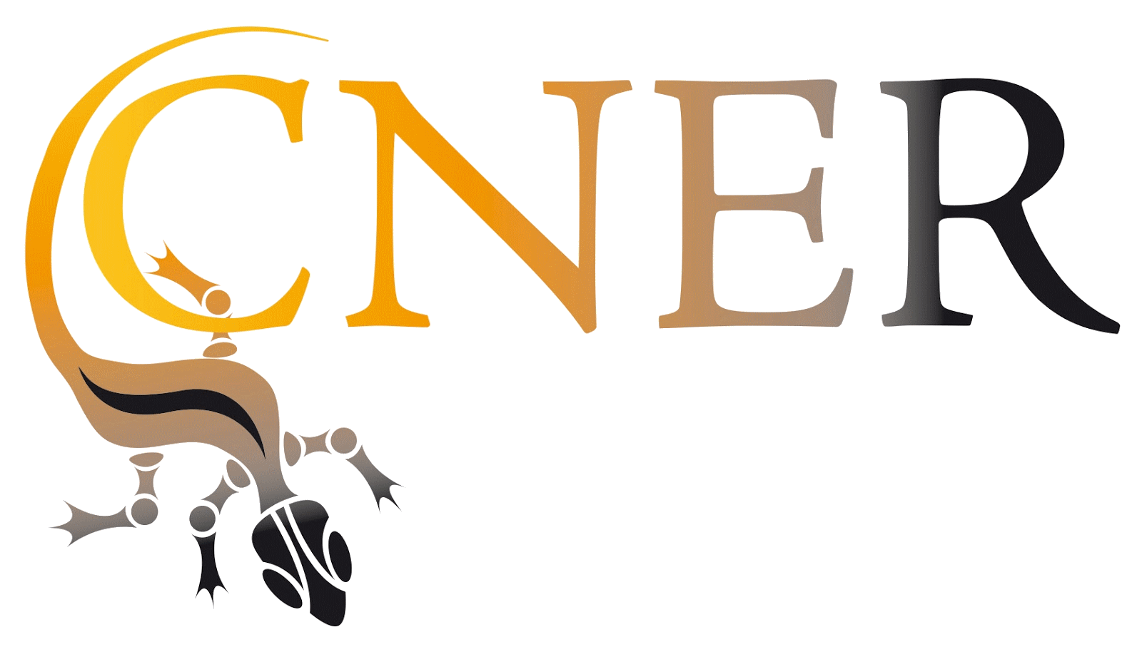 Logo CNER